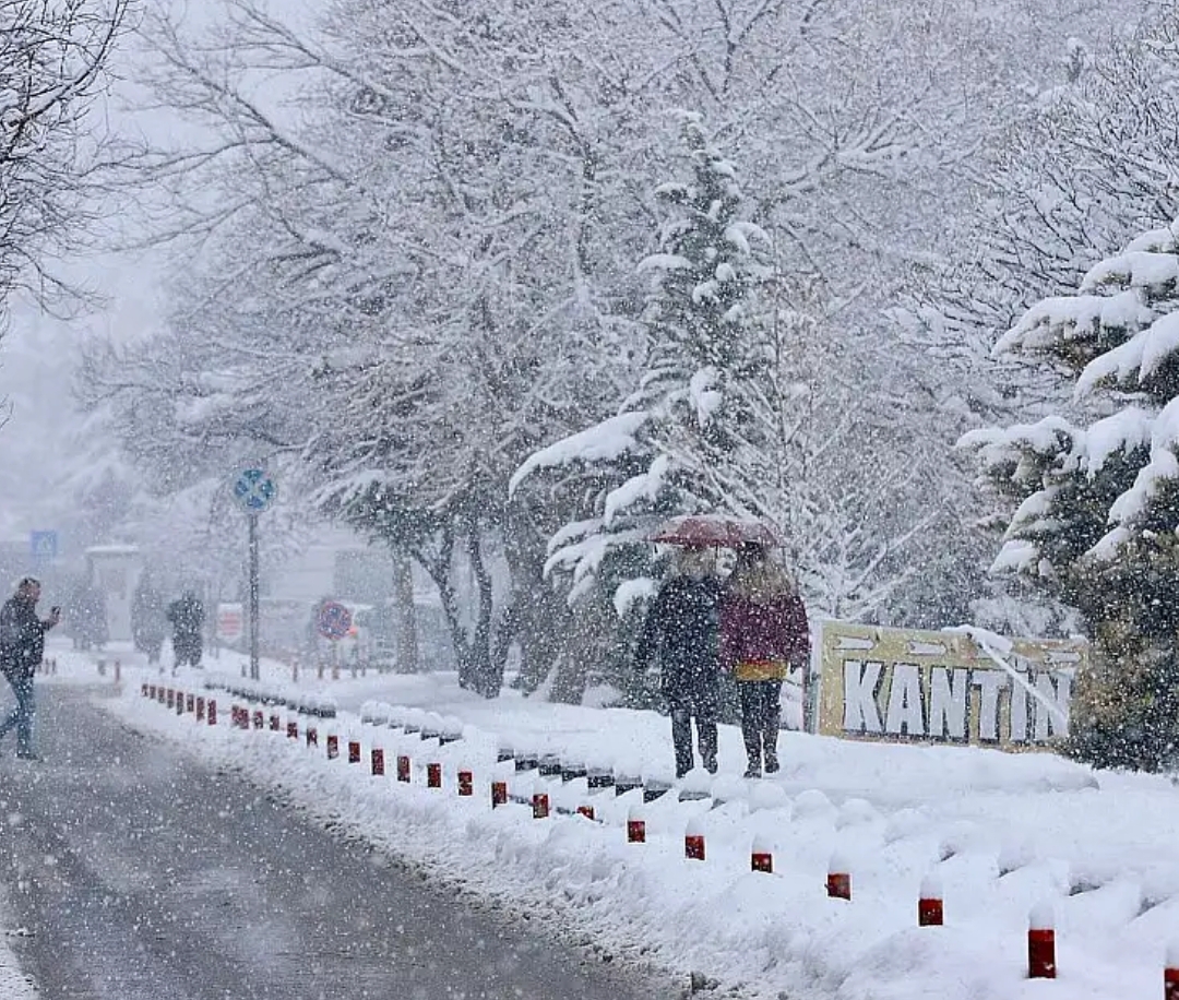 SohbetSever,SeverSohbet,seslisohbet